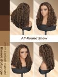4/27 Highlight Burmese Curly 5x7 Glueless Lace Front Wig 250% Density - Image 7