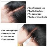 Alipearl Brazilian Straight Human Hair 4*4 5*5 6*6 HD Lace Closure 1Pc - Image 2