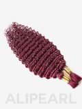 Deep Wave #99J Color Hair Bulk For Braiding Human Hair 100g - Image 6