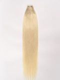 #613 Color Hair Straight High Quality Tape-In Hair Extensions 40 pcs - Image 4