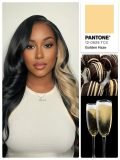 Side Part Blonde Highlight Body Wave 13x6 HD Lace Front Wig Skunk Stripe - Image 9